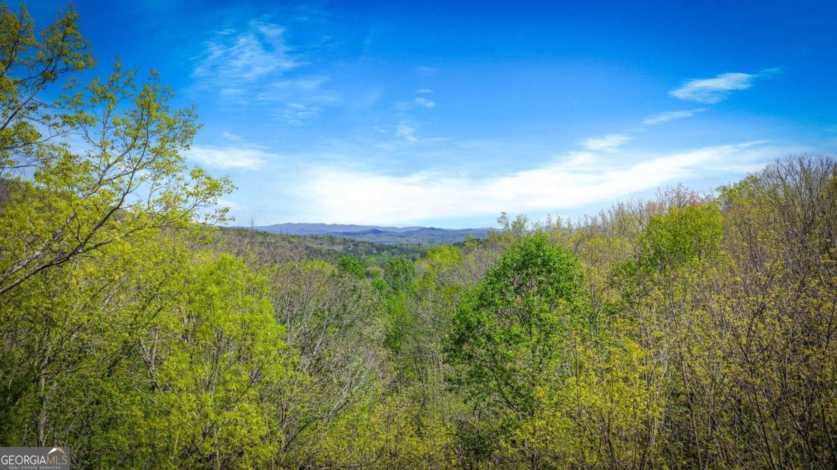 245 Davenport Mountain Road Blue Ridge - Photo 60