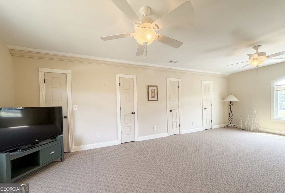 901 Line Creek Road Senoia - Photo 19