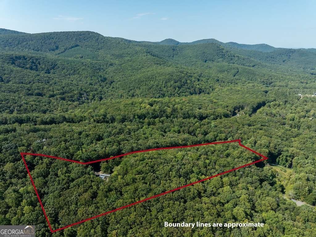 214 Dickerson Drive Ellijay - Photo 24