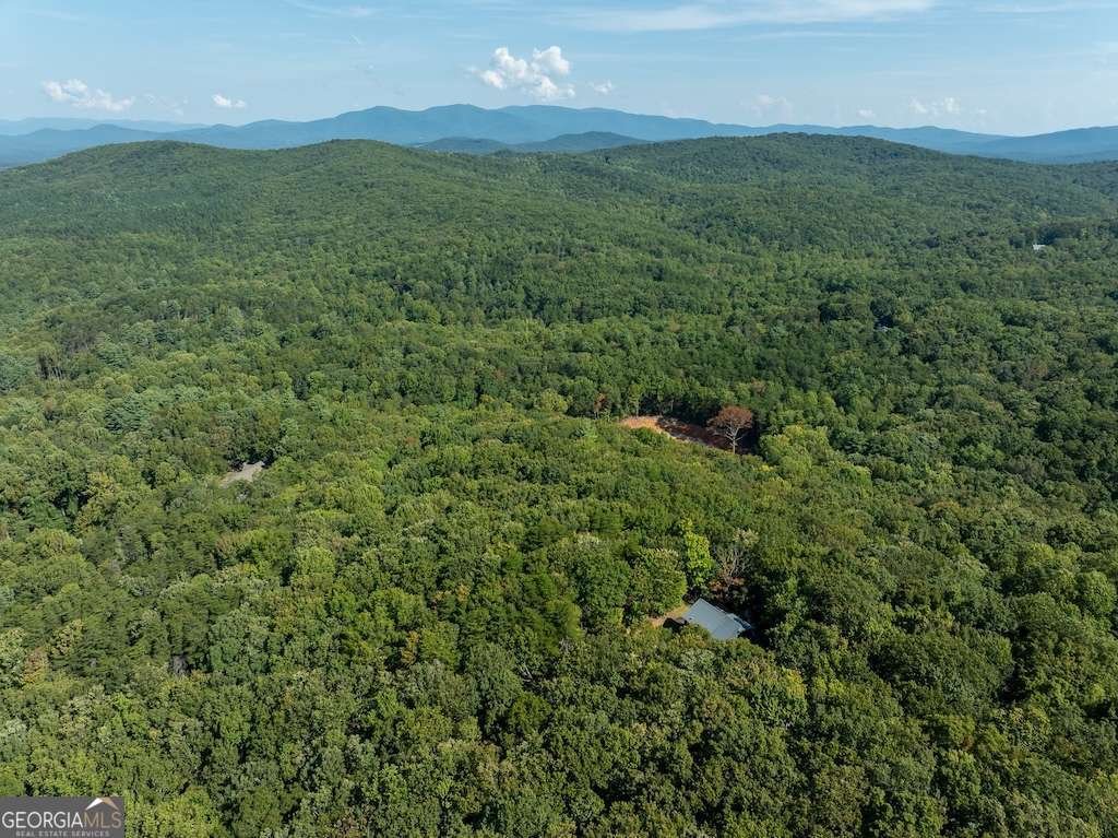 214 Dickerson Drive Ellijay - Photo 33