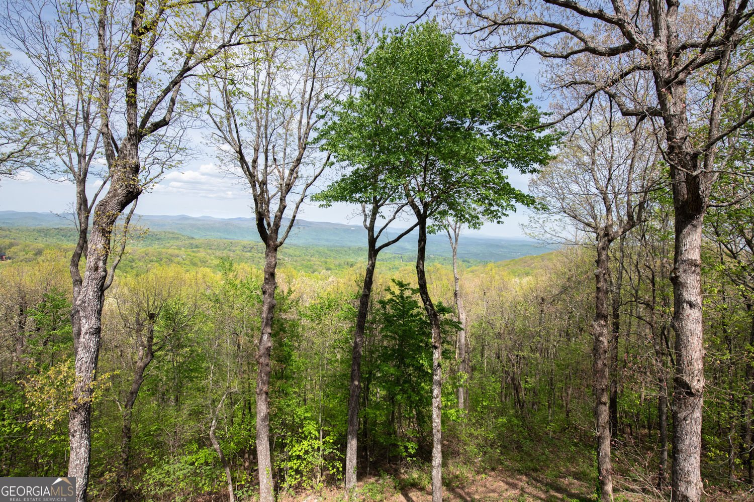 1093 Lower Sassafras Parkway Jasper - Photo 80