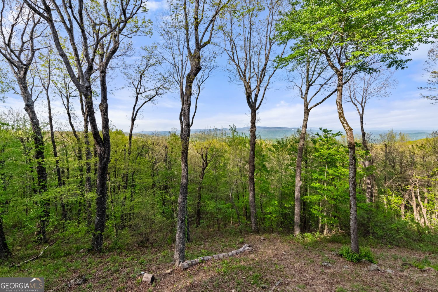 1093 Lower Sassafras Parkway Jasper - Photo 83