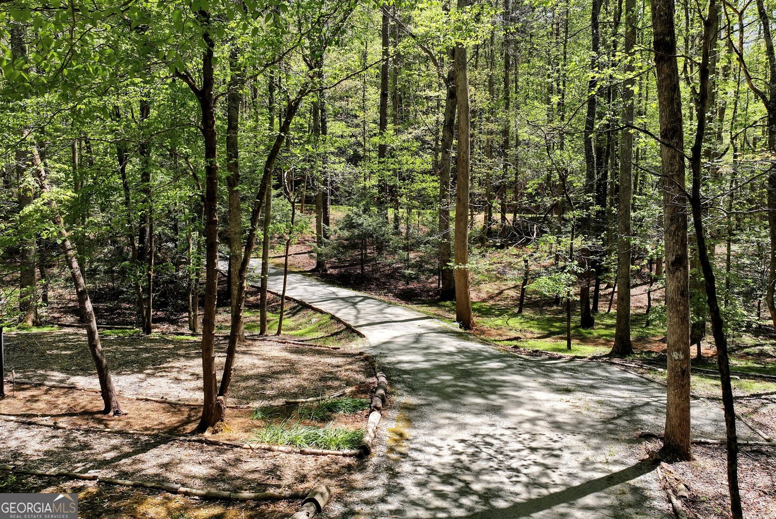 151 Woodbrier Sautee Nacoochee - Photo 40