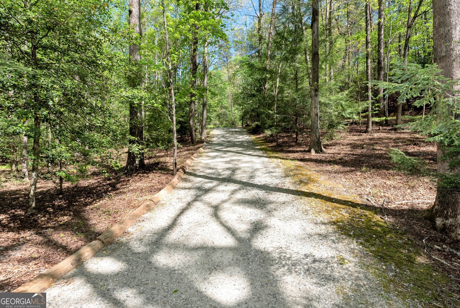 151 Woodbrier Sautee Nacoochee - Photo 41