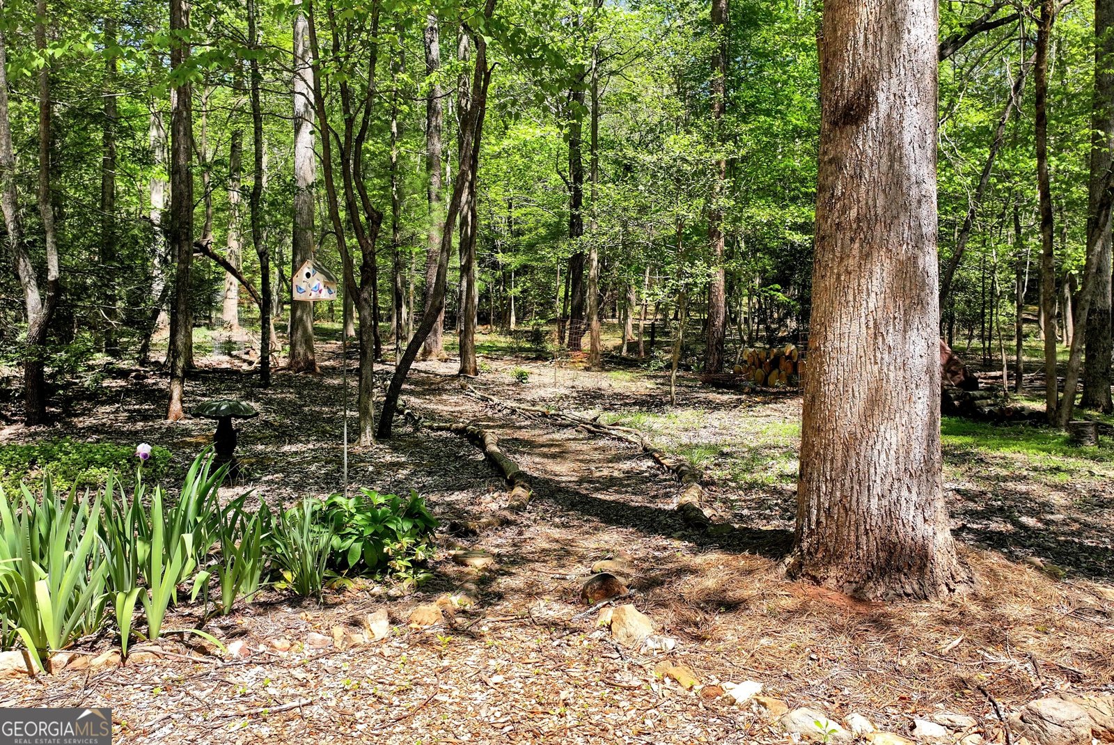 151 Woodbrier Sautee Nacoochee - Photo 42