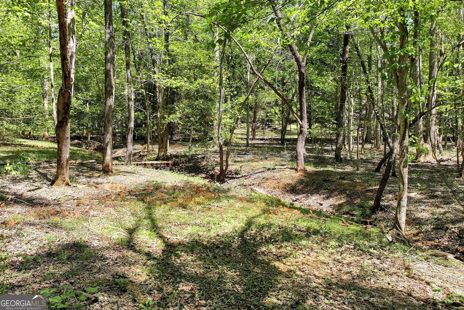 151 Woodbrier Sautee Nacoochee - Photo 43