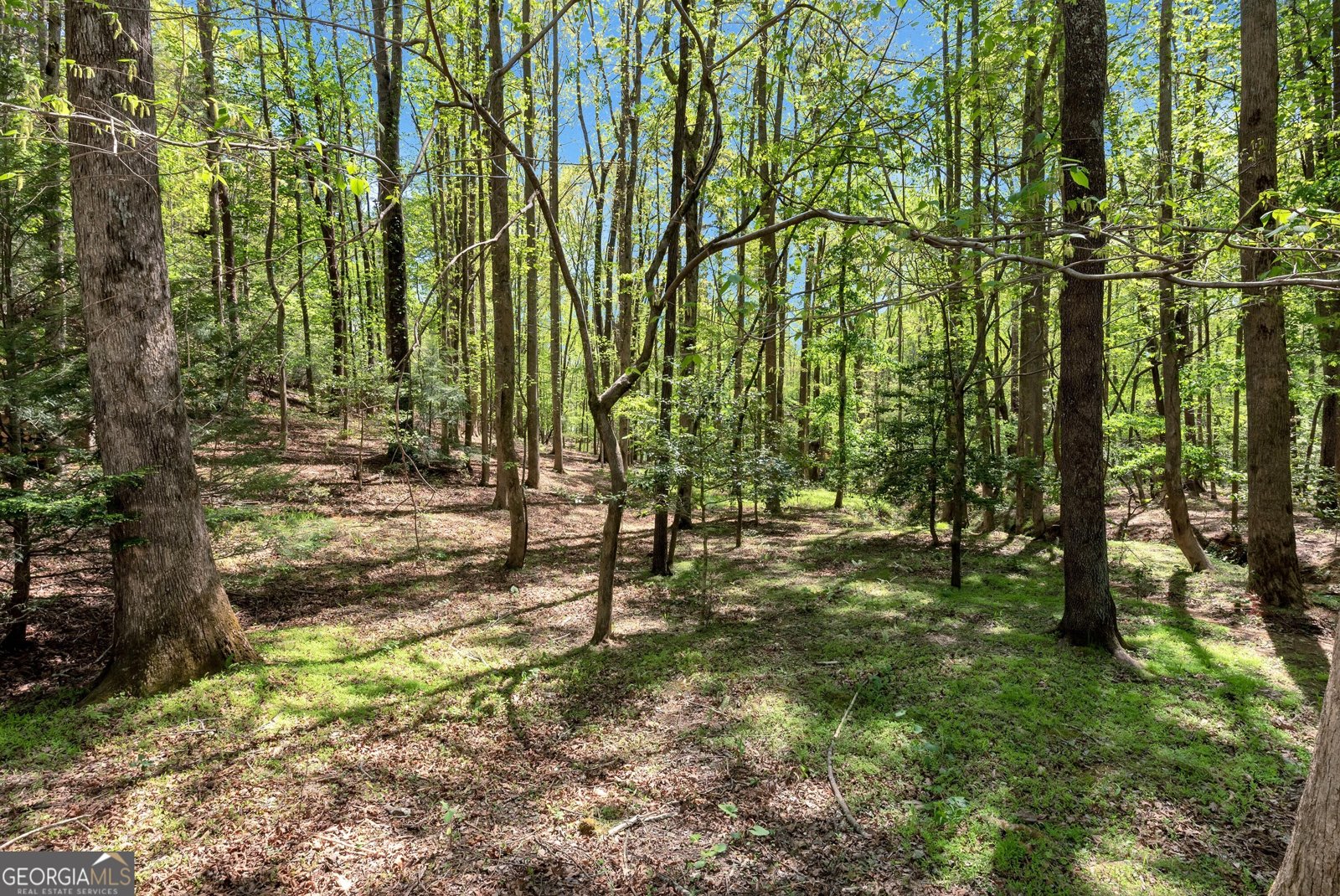 151 Woodbrier Sautee Nacoochee - Photo 44