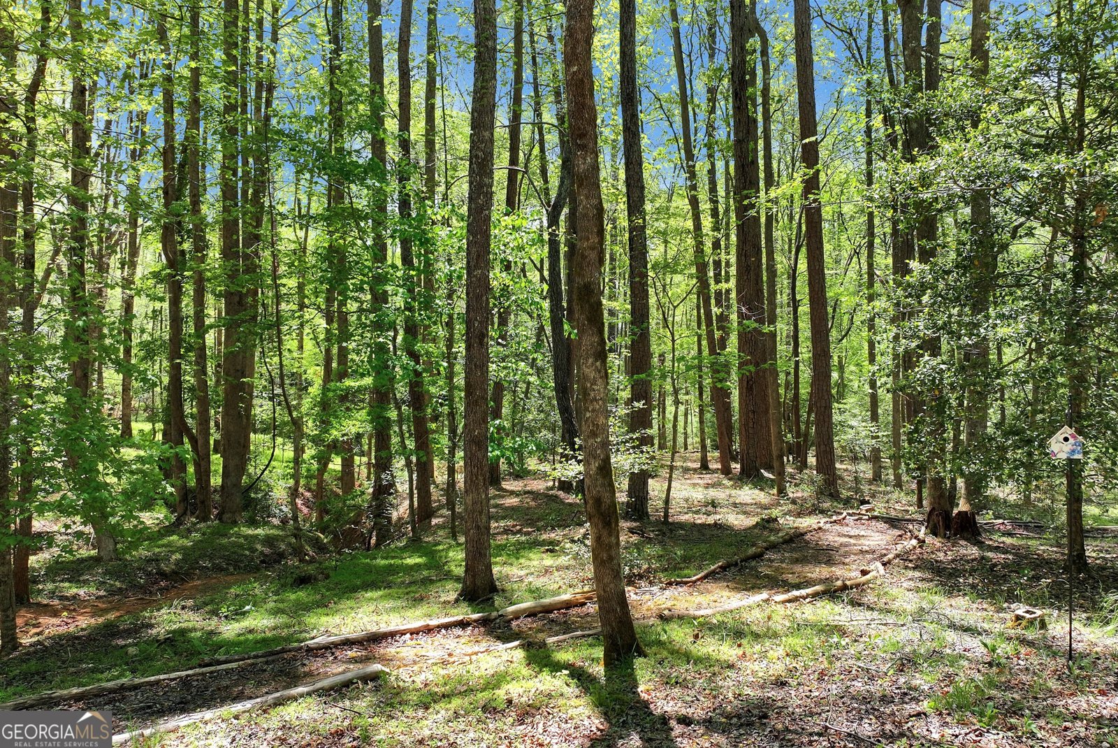 151 Woodbrier Sautee Nacoochee - Photo 45