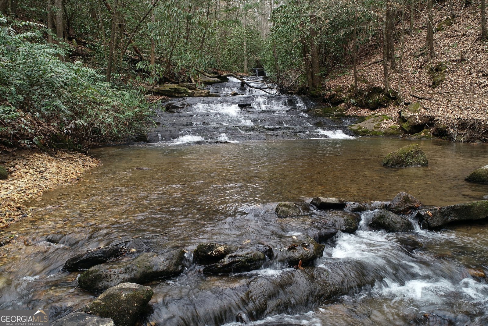 151 Woodbrier Sautee Nacoochee - Photo 55