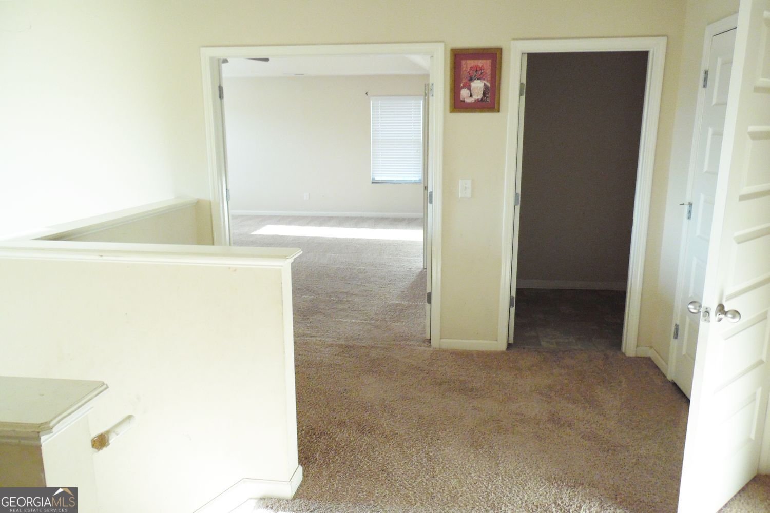 55 Silver Willow Court Covington - Photo 55