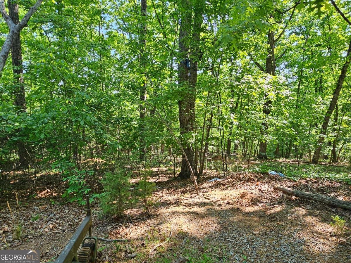 5510 Whitehall Road Lula - Photo 6