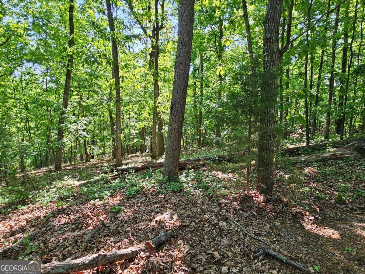 5510 Whitehall Road Lula - Photo 7