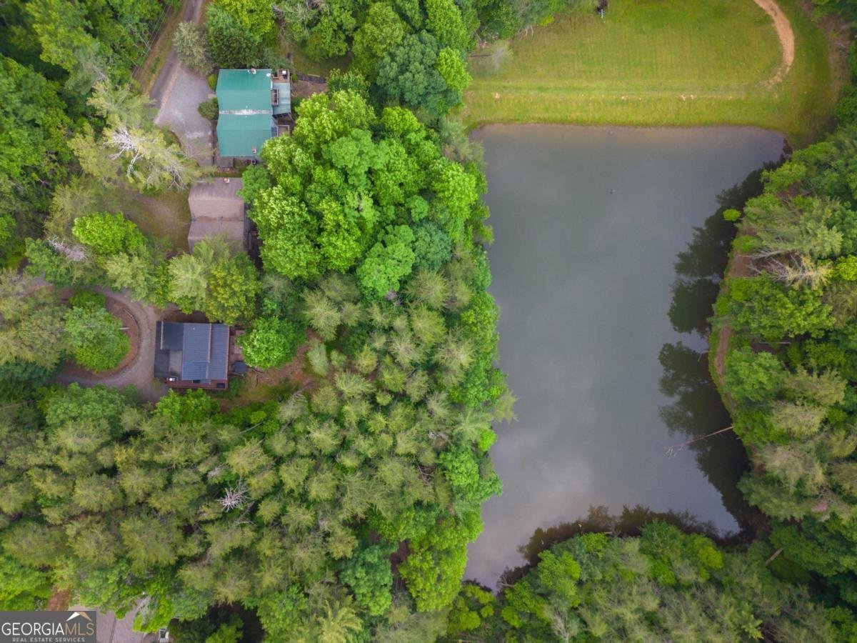 60 Clubhouse Court Ellijay - Photo 45