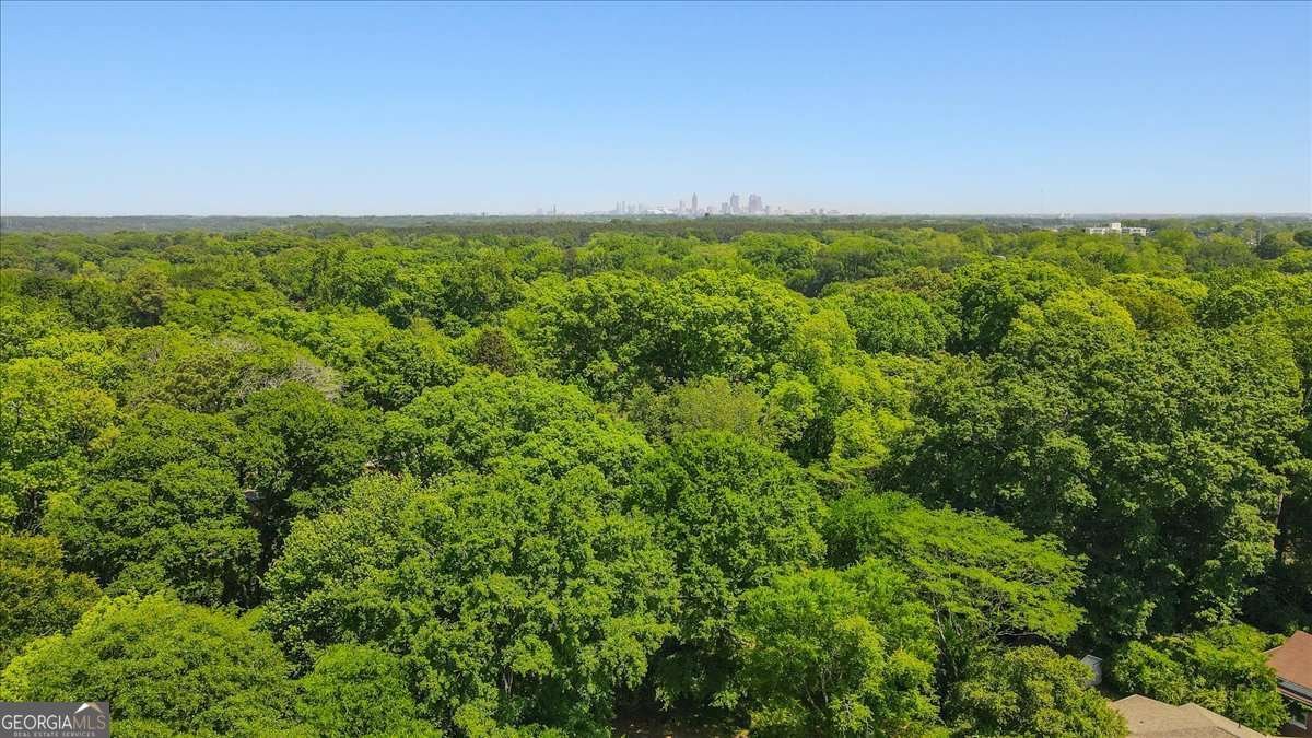 1856 Linwood Avenue Atlanta - Photo 10