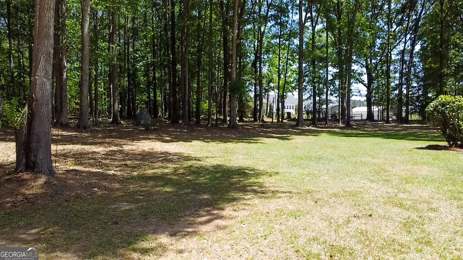 51 Hamilton Court Griffin - Photo 42