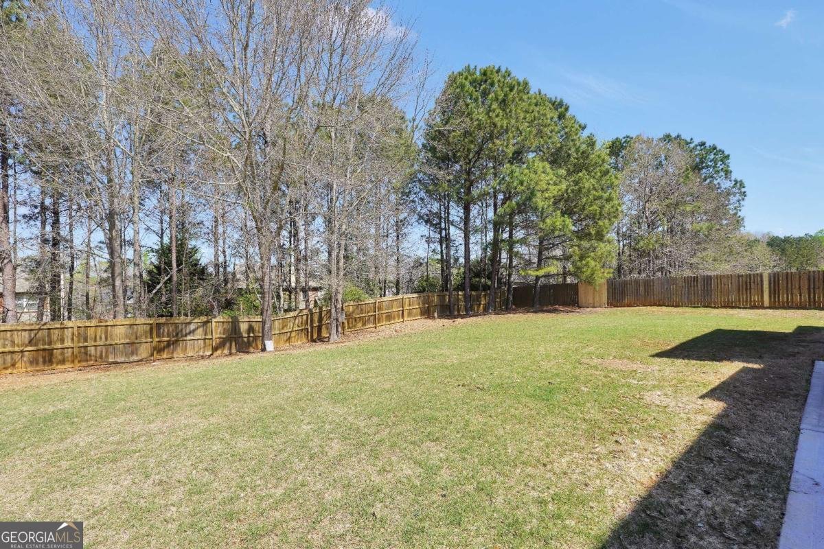 182 Tapestry Drive Mcdonough - Photo 17