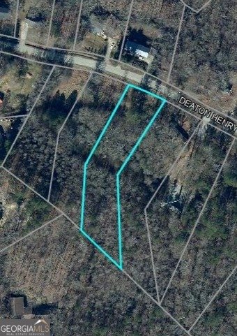 6996 Deaton Henry Road Flowery Branch - Photo 14