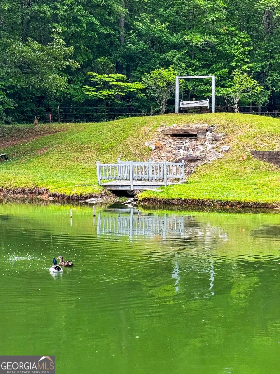 7630 Rico Road Chattahoochee Hills - Photo 10