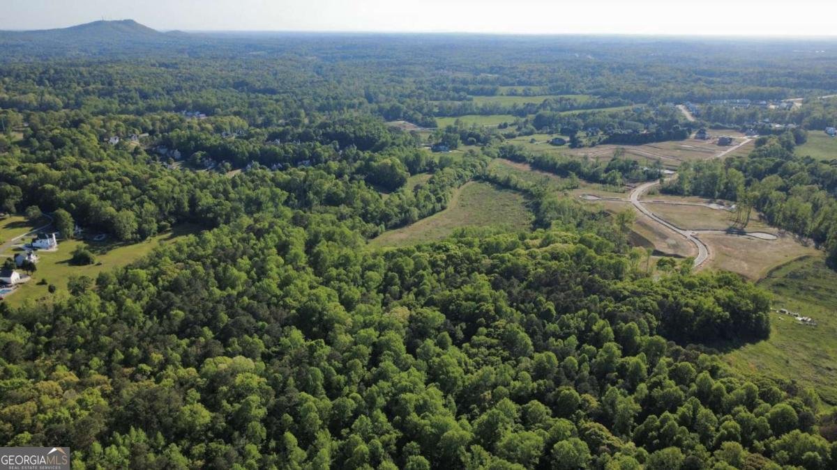 5920 Hamby Drive Cumming - Photo 14