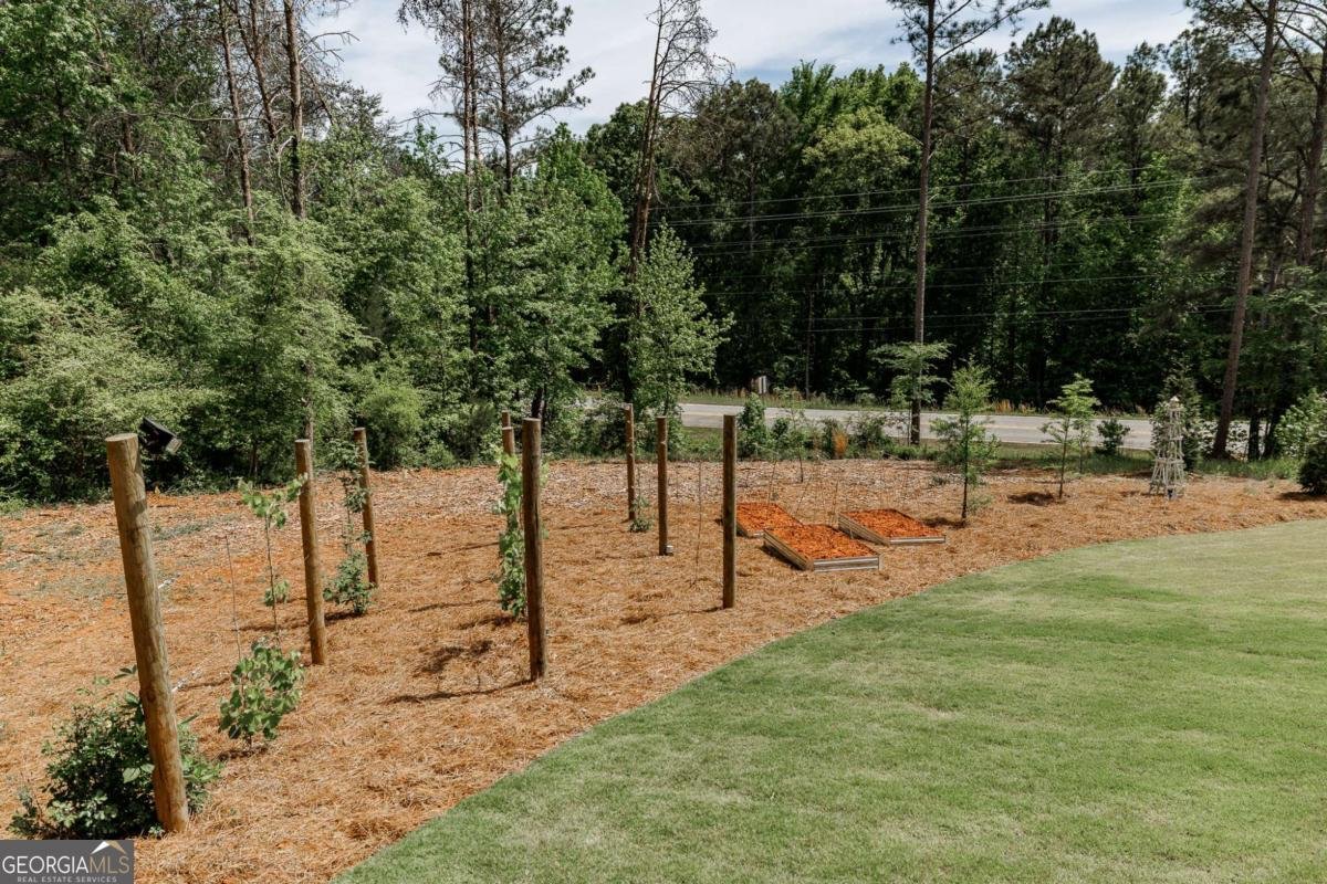 4085 Barnett Shoals Road Athens - Photo 58