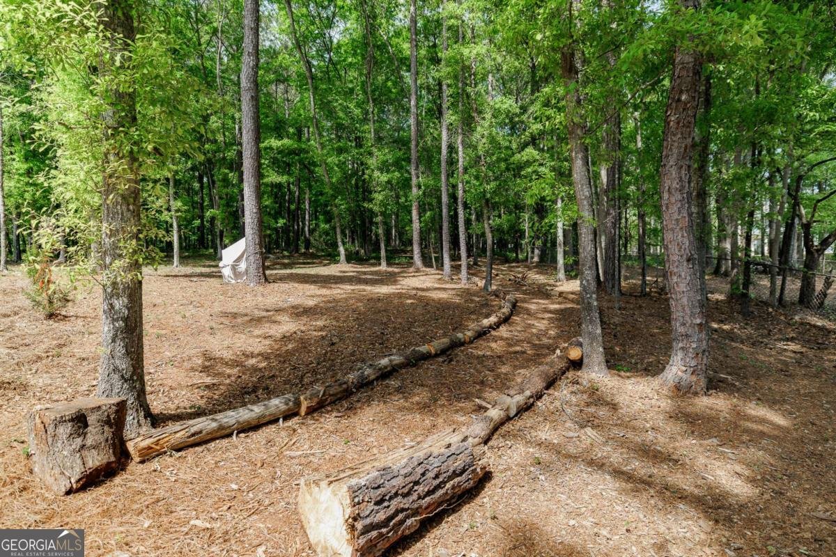 4085 Barnett Shoals Road Athens - Photo 60