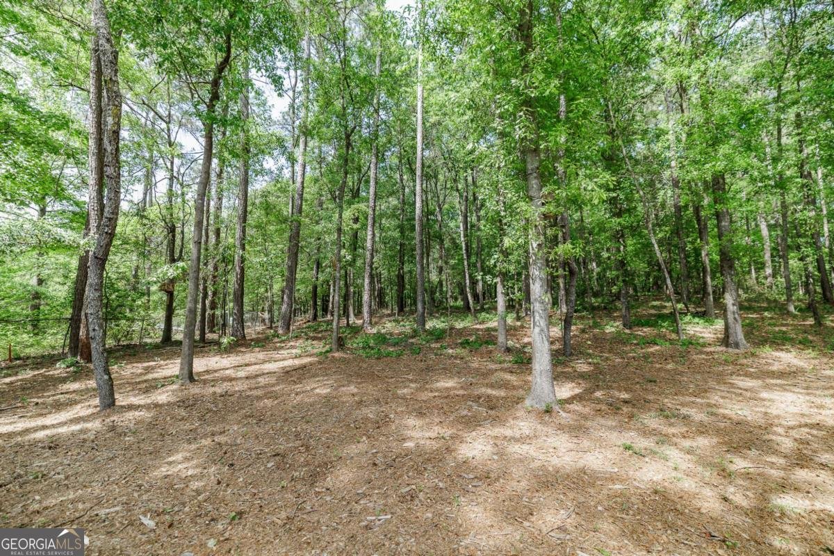 4085 Barnett Shoals Road Athens - Photo 62