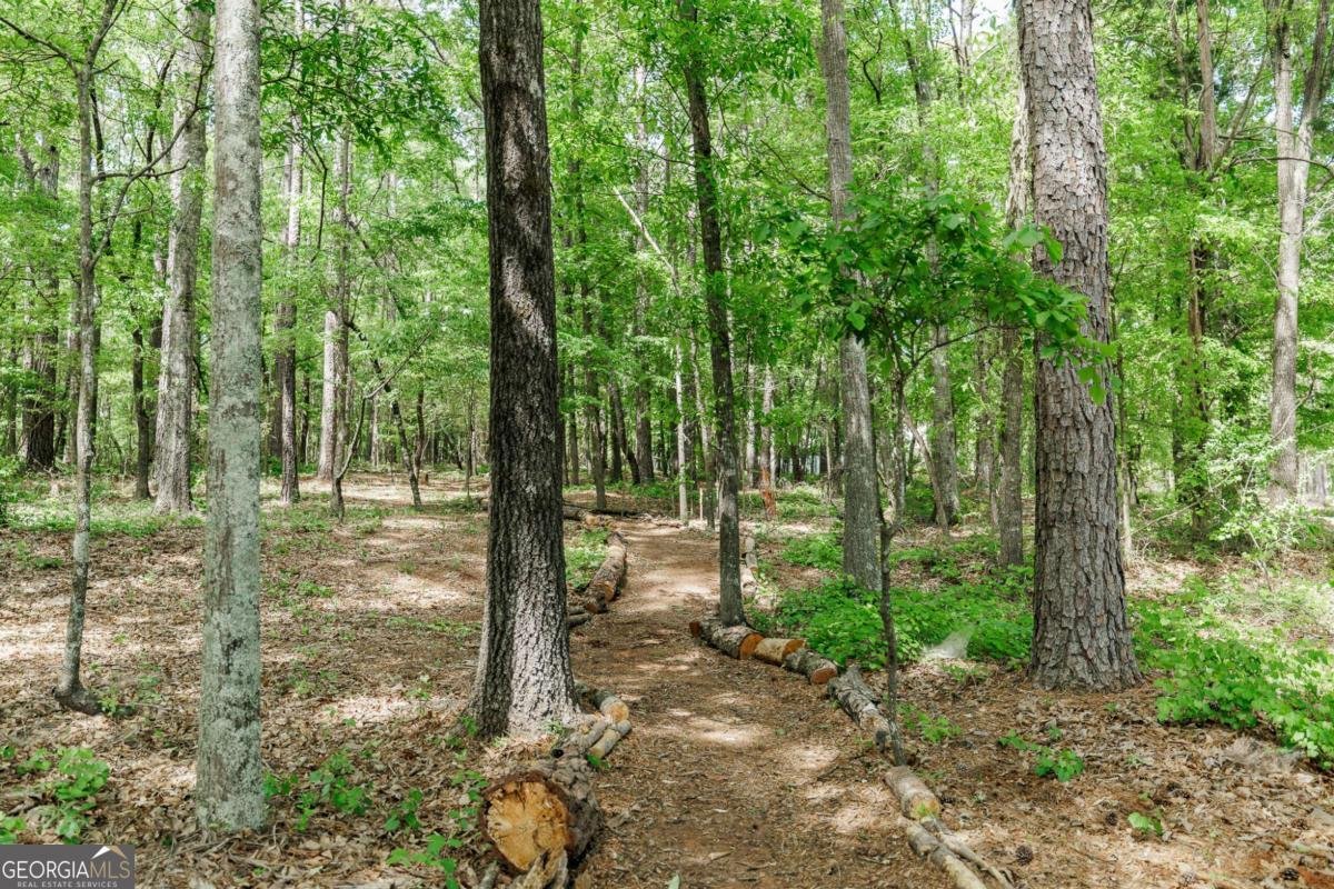 4085 Barnett Shoals Road Athens - Photo 63