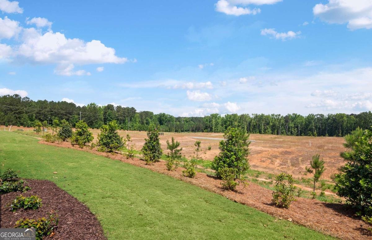 141 Kenney Way Locust Grove - Photo 32