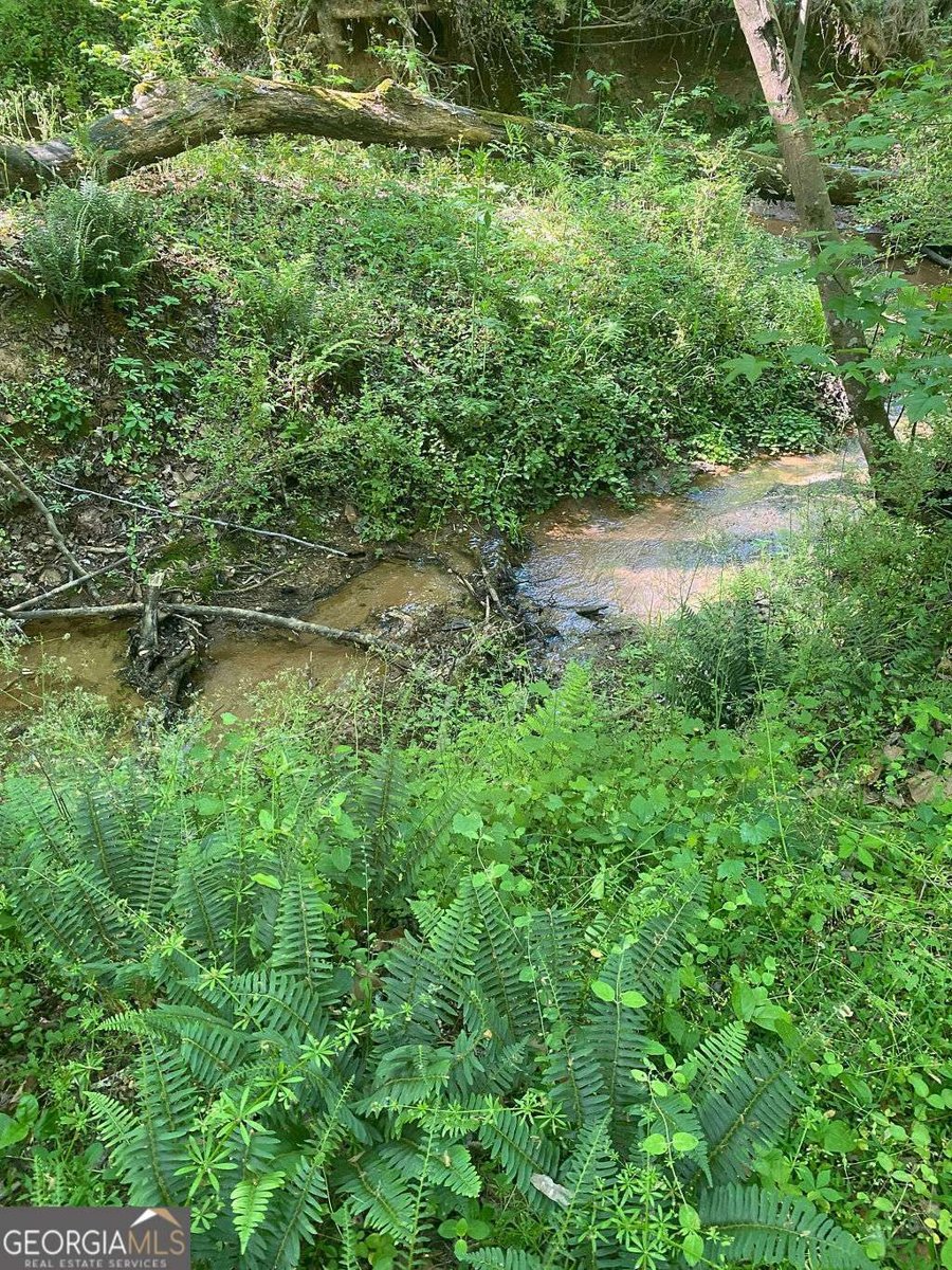 6077 Colham Ferry Road Watkinsville - Photo 66