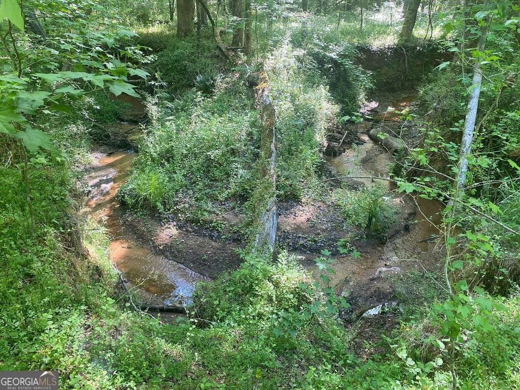 6077 Colham Ferry Road Watkinsville - Photo 67