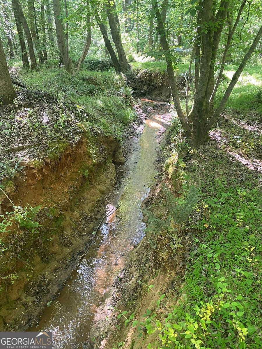 6077 Colham Ferry Road Watkinsville - Photo 68