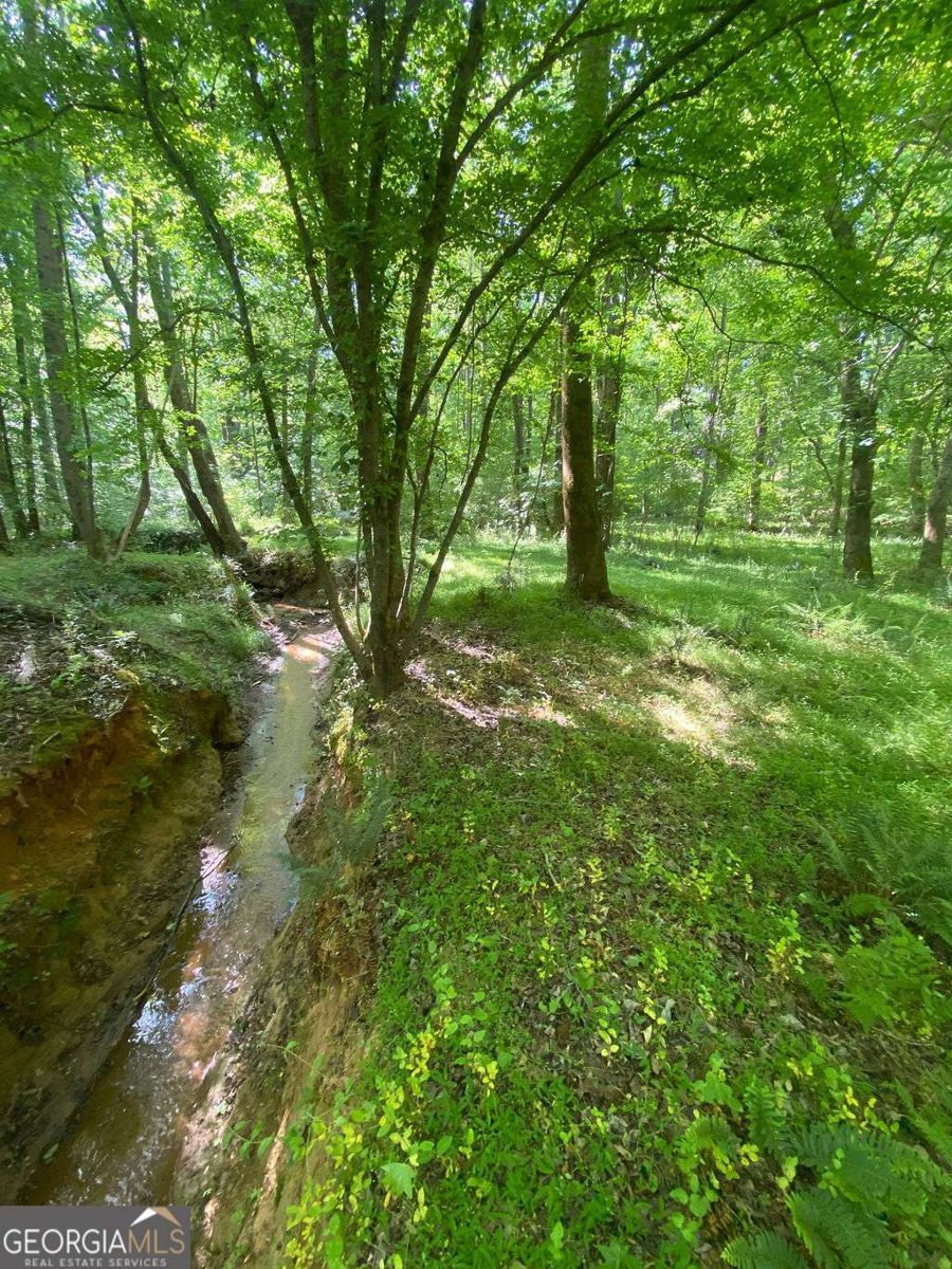 6077 Colham Ferry Road Watkinsville - Photo 69