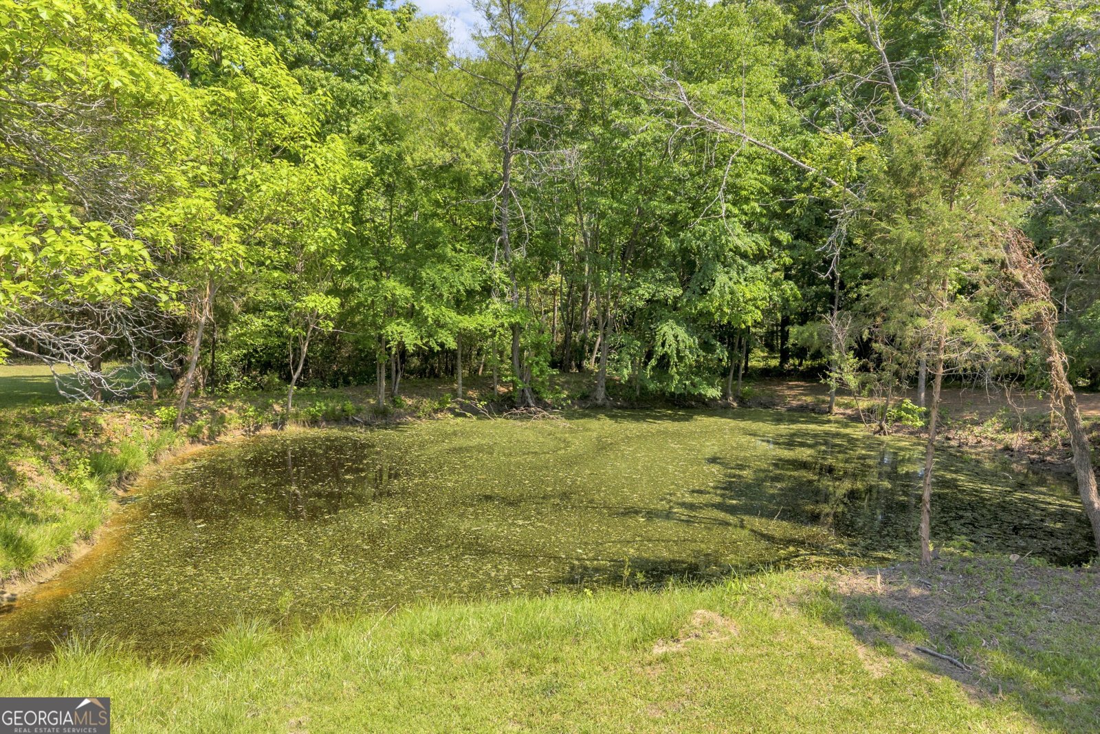 3836 Childston Dr Elberton - Photo 81