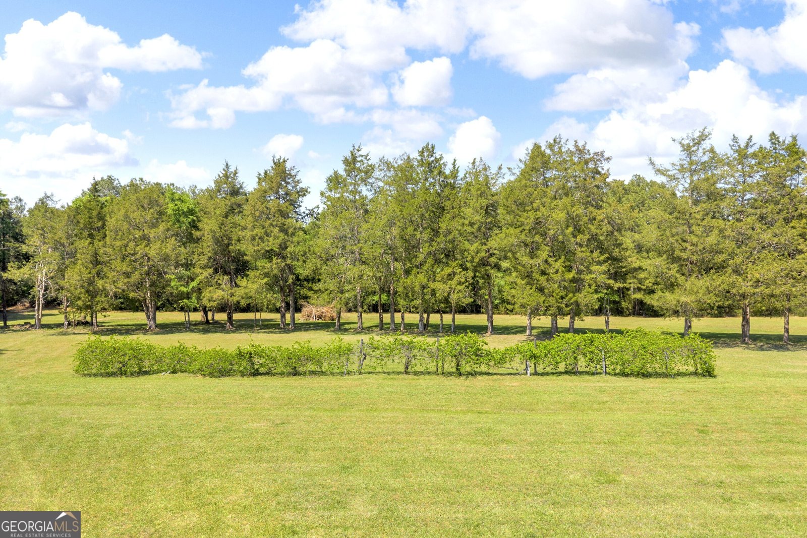 3836 Childston Dr Elberton - Photo 85