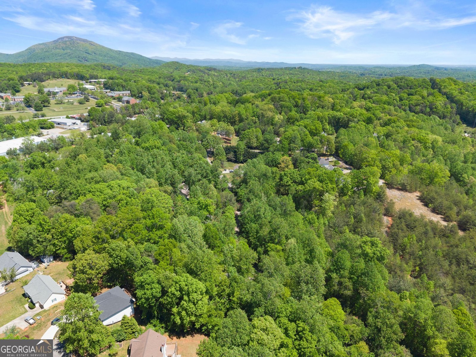 162 Greenview Court Cleveland - Photo 33