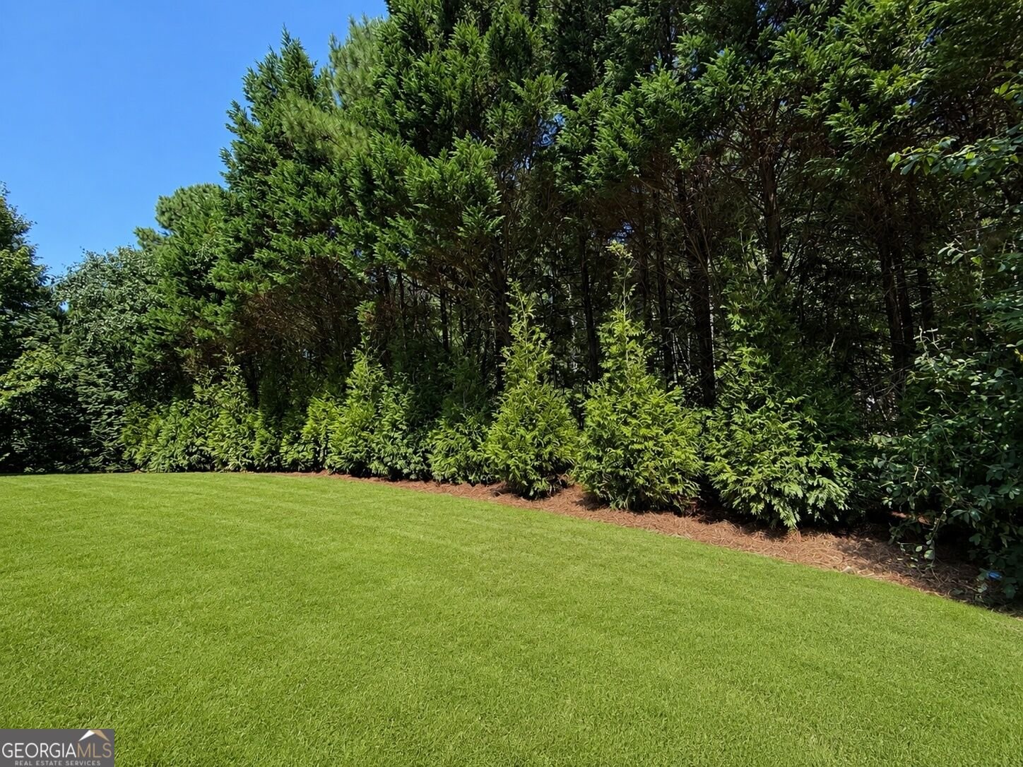2083 Skybrooke Lane Hoschton - Photo 47