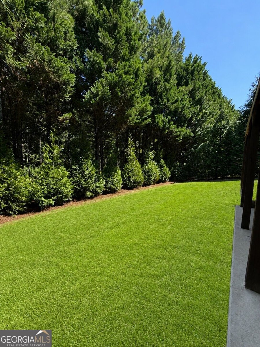 2083 Skybrooke Lane Hoschton - Photo 50