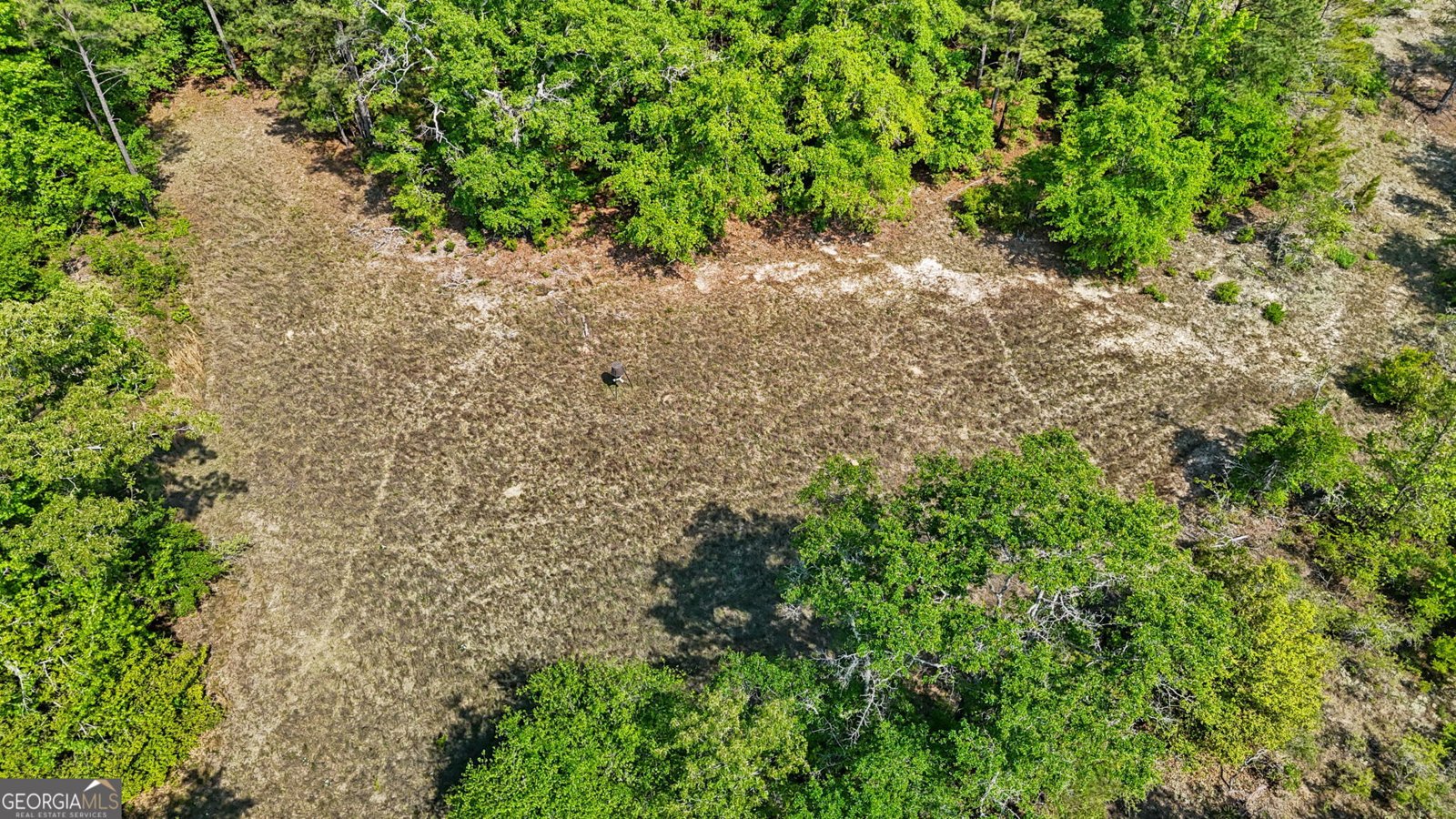 3875 Ga Highway 128 Roberta - Photo 53