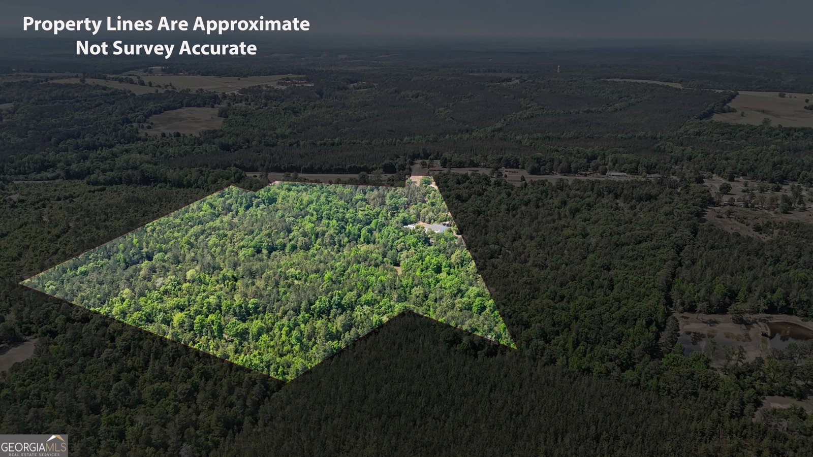 3875 Ga Highway 128 Roberta - Photo 58