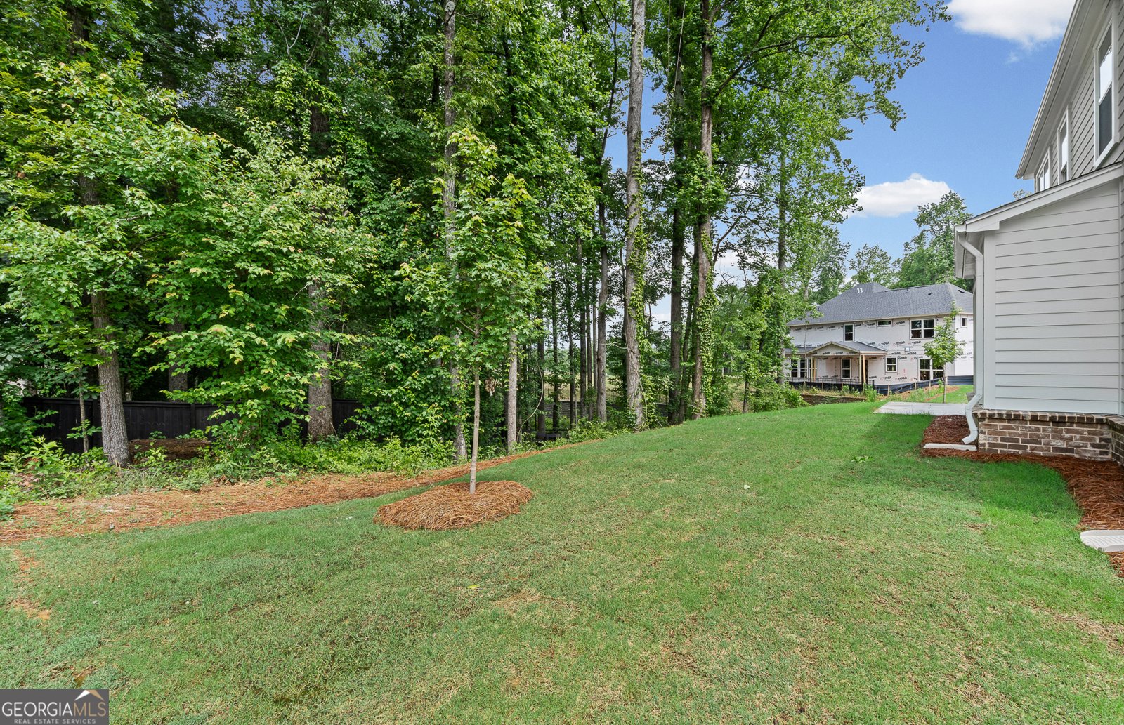 4695 Rosarian Drive Cumming - Photo 53