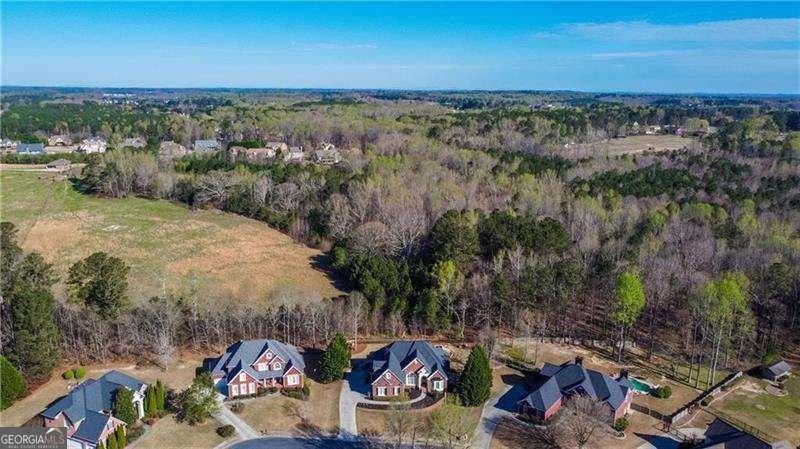 1328 Ewing Creek Drive Dacula - Photo 6