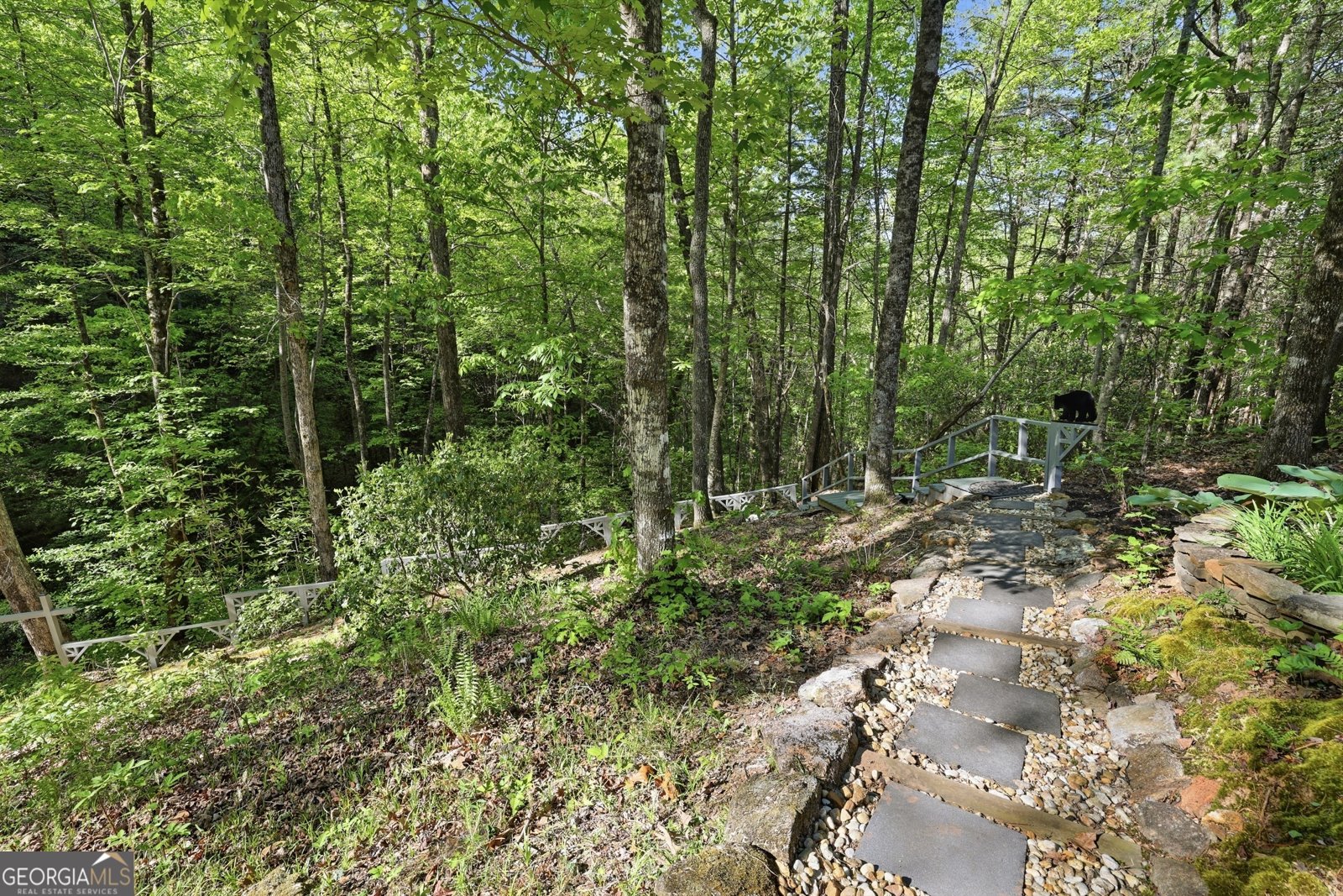 319 Mystic View Lane Clayton - Photo 38