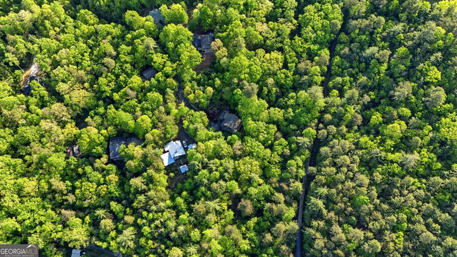 319 Mystic View Lane Clayton - Photo 41