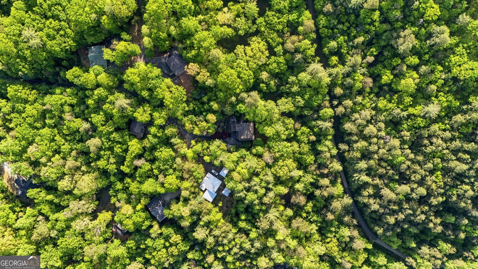 319 Mystic View Lane Clayton - Photo 46