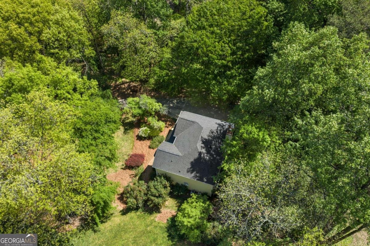 166 Plantation Trace Woodstock - Photo 46