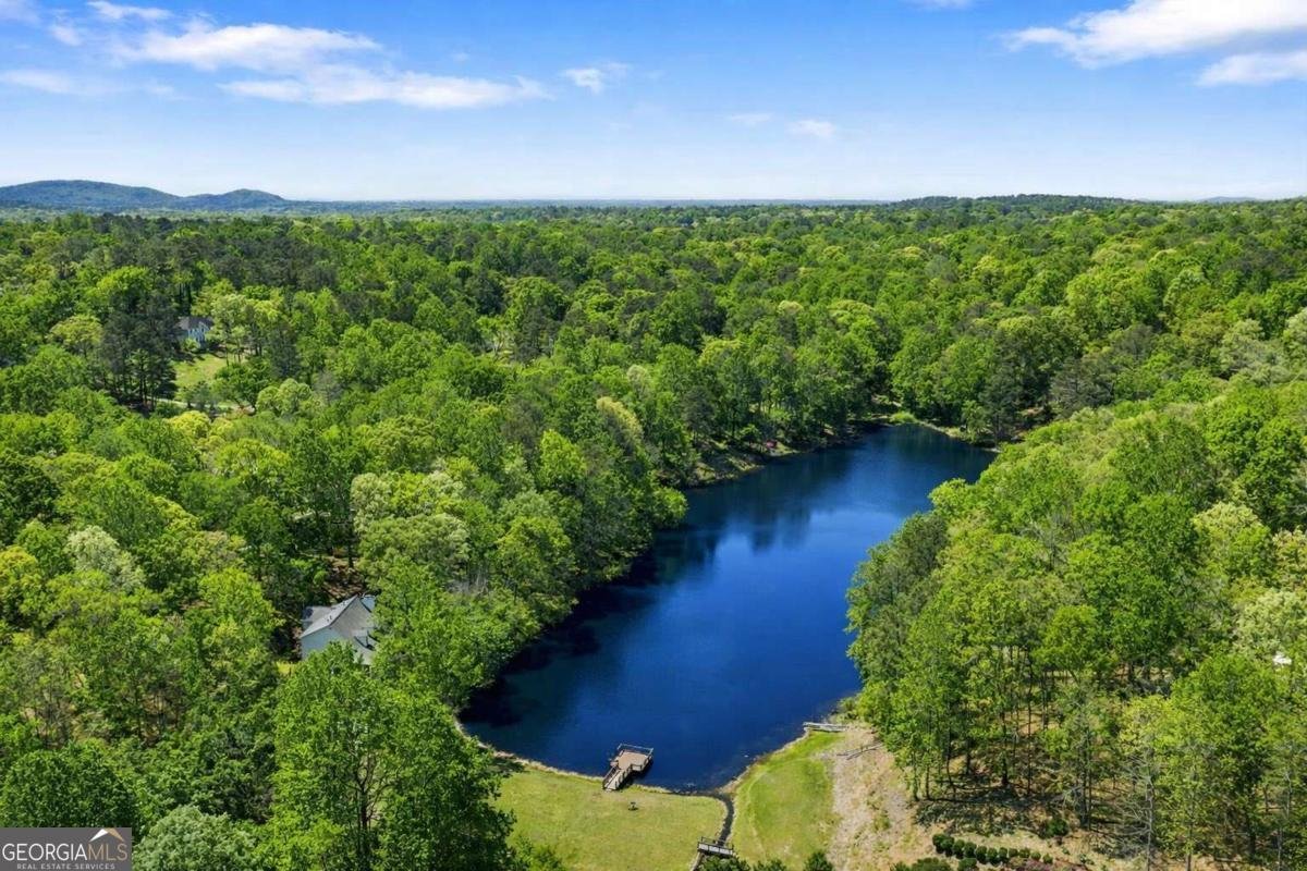 166 Plantation Trace Woodstock - Photo 48