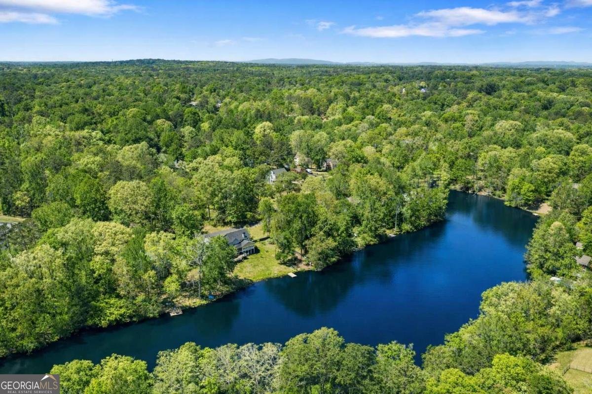 166 Plantation Trace Woodstock - Photo 49