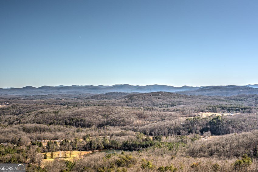 173 Sunrock Mountain Trail Blue Ridge - Photo 35