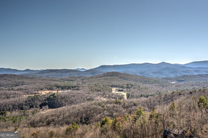 173 Sunrock Mountain Trail Blue Ridge - Photo 36