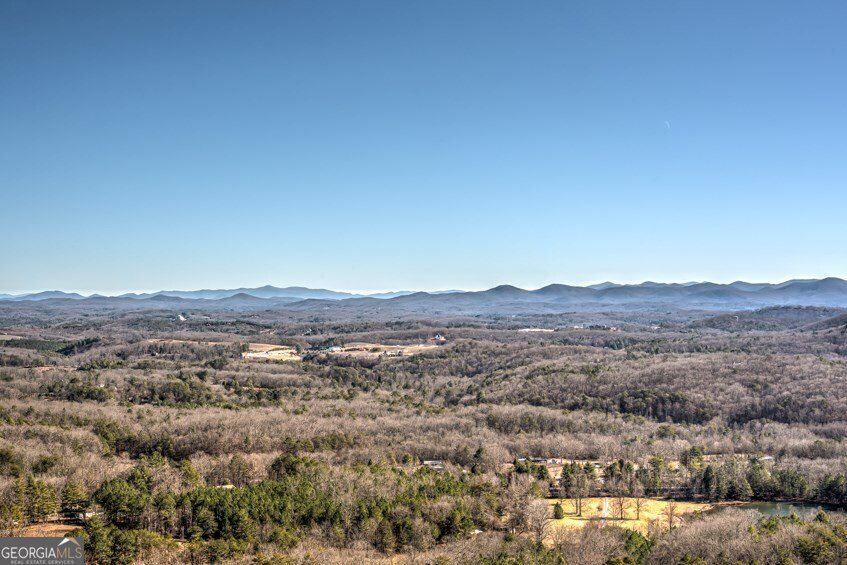 173 Sunrock Mountain Trail Blue Ridge - Photo 37